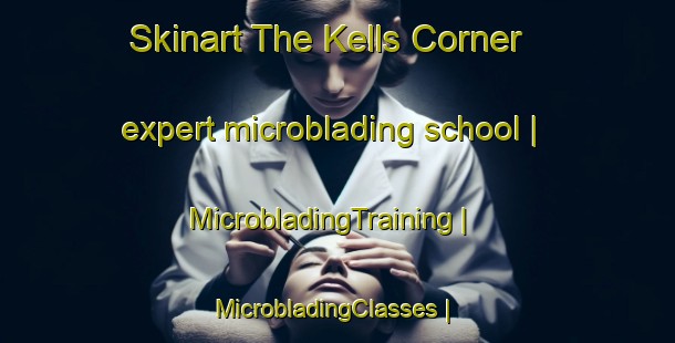 Skinart The Kells Corner expert microblading school | MicrobladingTraining | MicrobladingClasses | SkinartTraining-United States